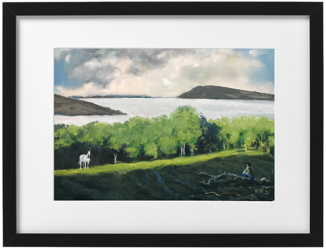 White horse - Framed print